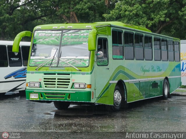 Transporte Bonanza 0030 por Antonio Casamayor
