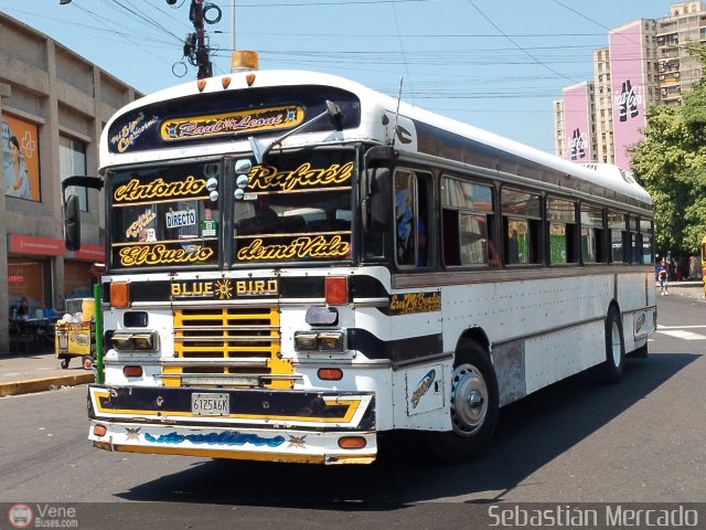 ZU - Ral Leoni 08 por Sebastin Mercado