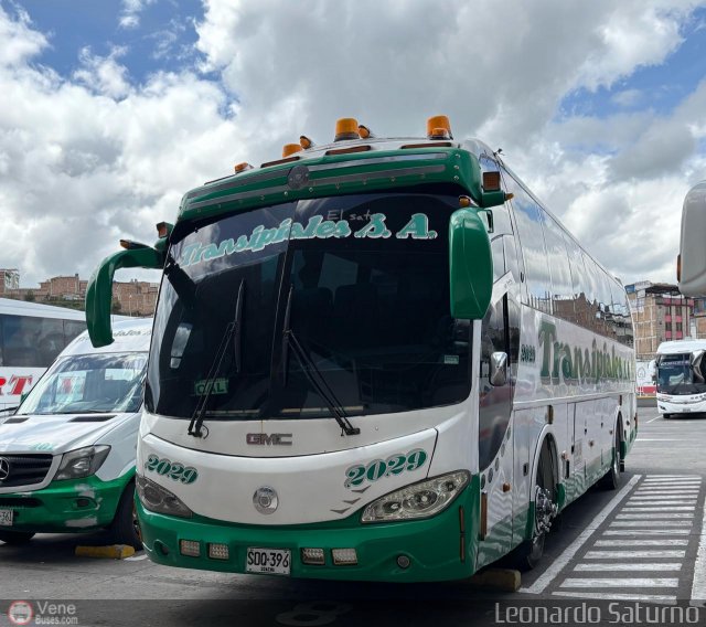 Transipiales S.A. 2029 por Leonardo Saturno