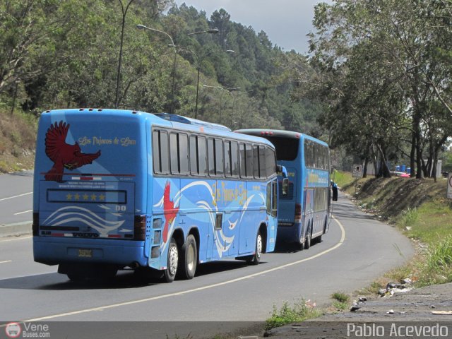 Los P�jaros de Lara 005 por Pablo Acevedo