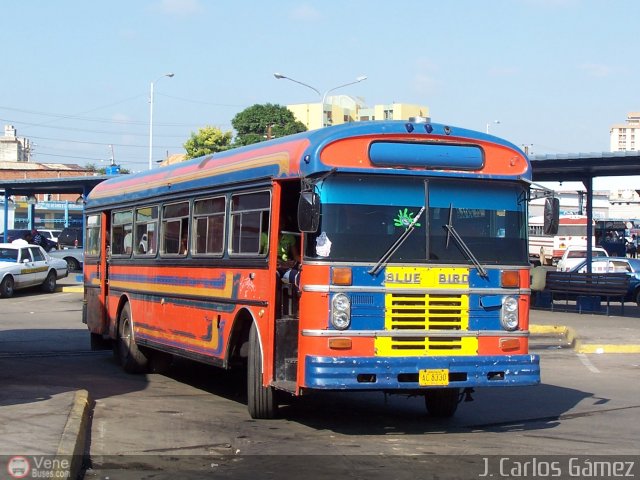 Colectivos Perij� 36 por J. Carlos G�mez