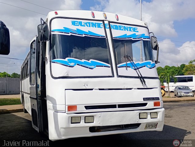 Grupo de Transporte Los Intendentes 030 por Javier Arretureta