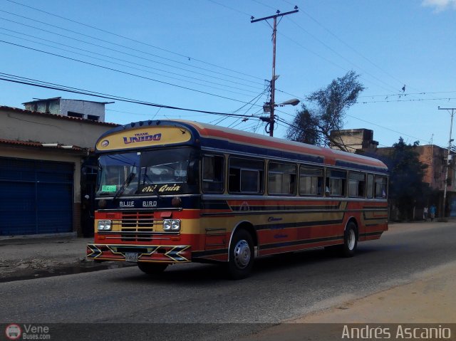 A.C. de Transporte Santa Ana 29 por Andr�s Ascanio