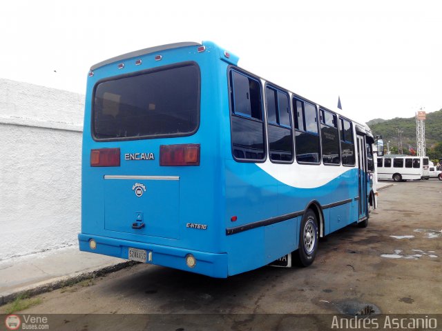 A.C. Transporte Paez 050 por Andr�s Ascanio
