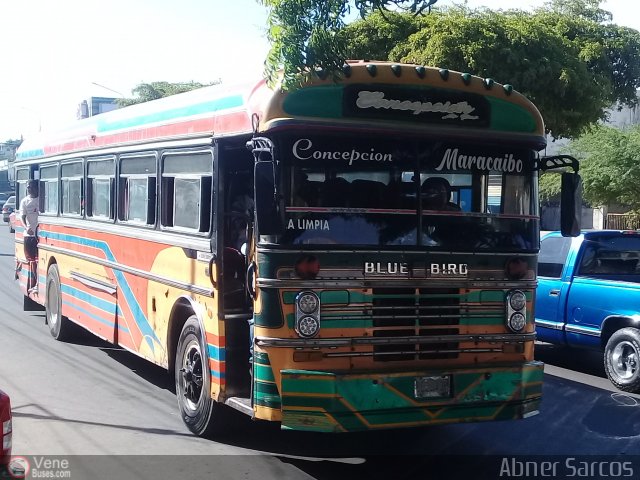 ZU - Colectivos Concepci�n 059 por Abner Sarcos