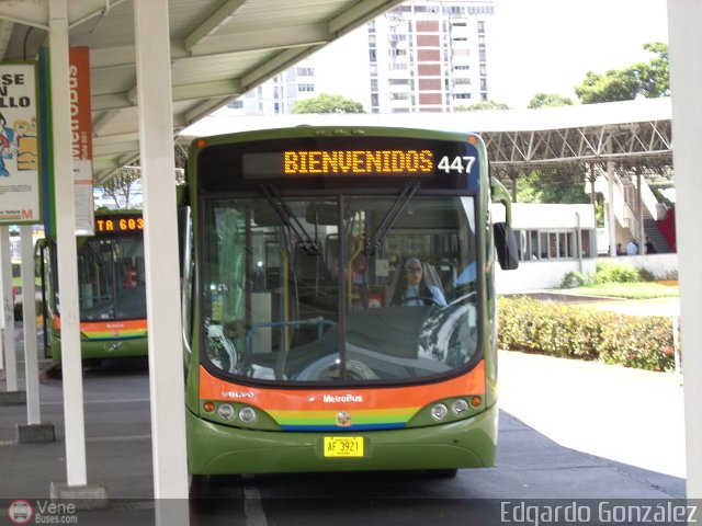 Profesionales del Transporte de Pasajeros Vanessa  por Edgardo Gonzlez