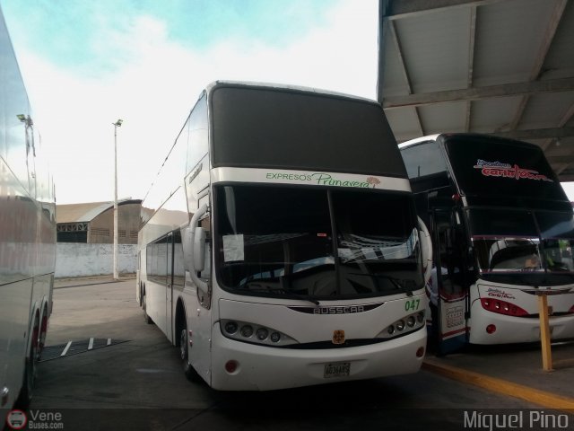 Expresos Primavera 047 por Miguel Pino