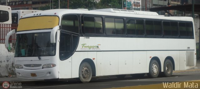 A.C.C. Turgar Express 99 por Waldir Mata