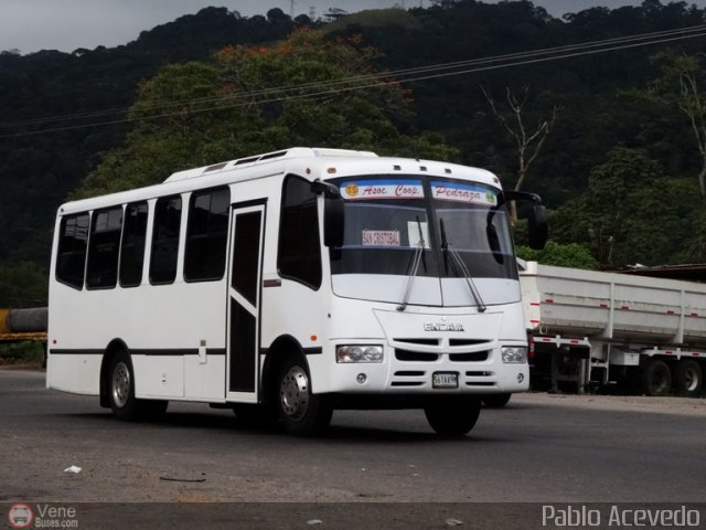 A.C. Pedraza 085 por Pablo Acevedo