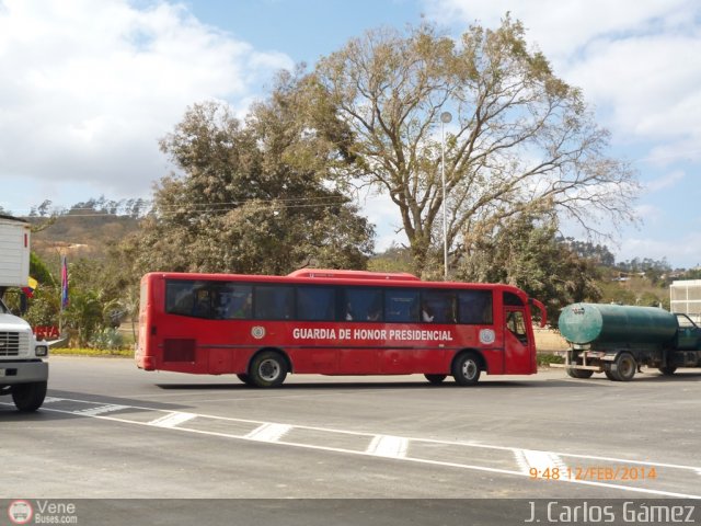 Guardia de Honor Presidencial 209 por Alvin Rond�n