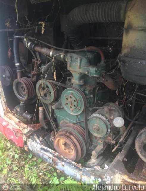 En Chiveras Abandonados Recuperaci�n AC008 por Alejandro Curvelo