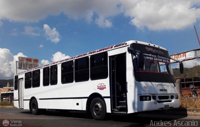 A.C. Mensajeros Llanos del Sur 128 por Andrés Ascanio