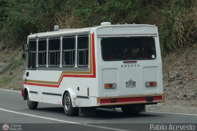 DC - Tigres de Plan de Manzano 031 por Pablo Acevedo