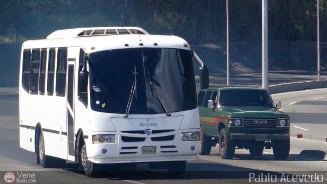 Particular o Desconocido Miranda por Pablo Acevedo