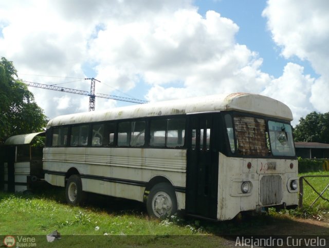 Particular NO USAR M�S 8912 por Alejandro Curvelo