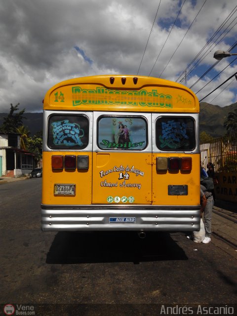 AR - A.C. Choron� - Maracay - Costas de Aragua 14 por Andr�s Ascanio