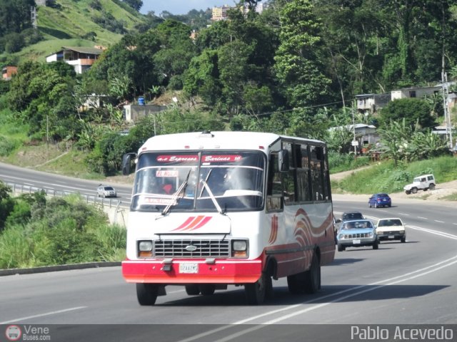 A.C. Expresos Barinas 141 por Pablo Acevedo