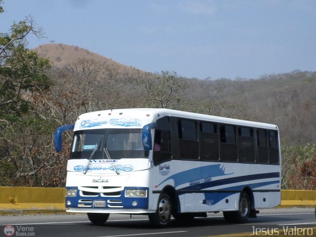 Expresos Venezuela 21 por Jes�s Valero