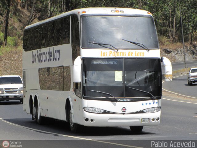 Los P�jaros de Lara 007 por Pablo Acevedo