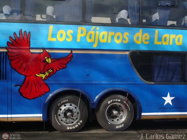 Los P�jaros de Lara 001 por J. Carlos G�mez