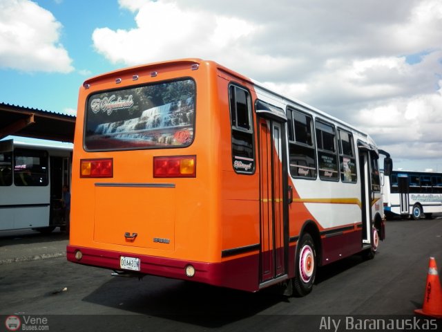 S.C. L�nea Qu�bor 40 por Aly Baranauskas