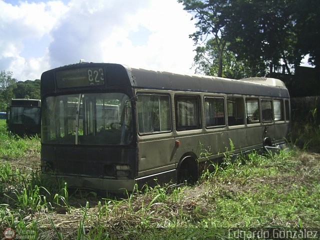 En Chiveras Abandonados Recuperaci�n 960 por Edgardo Gonz�lez