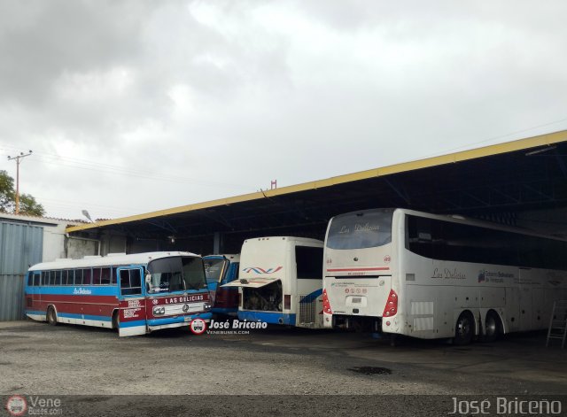 Garajes Paradas y Terminales Bocono  por Jos� Brice�o