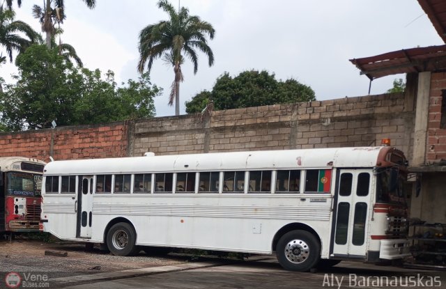 Particular o Desconocido 40 por Aly Baranauskas