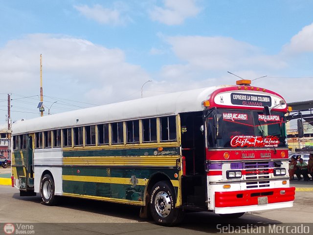 Expresos La Gran Colombia 37 por Sebasti�n Mercado