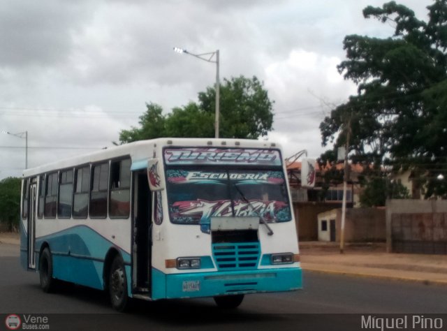 Expresos Casa de Dios 08 por Miguel Pino