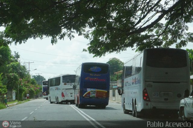 Expresos Occidente Gua 2019 36 por Pablo Acevedo