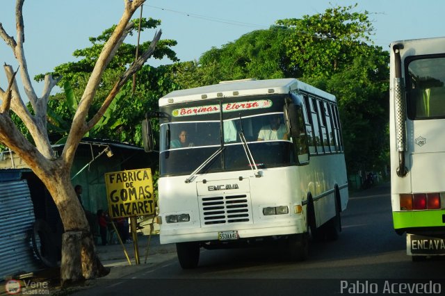 A.C. Barinas Elorza 59 por Pablo Acevedo