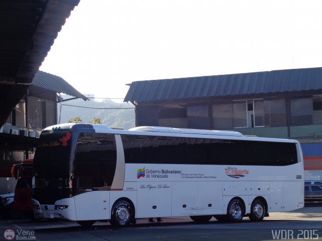 Los Pájaros de Lara 004 por Waldir Mata