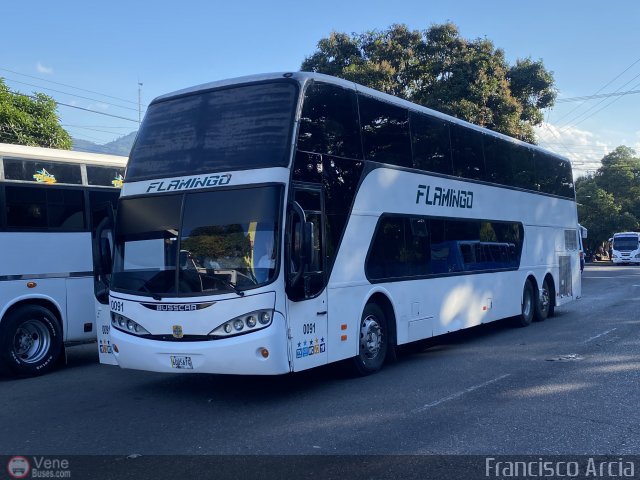 Expresos Flamingo 0091  por Francisco Arcia