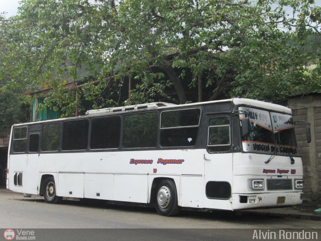 Expresos Pegamar 0020 por Alvin Rond�n