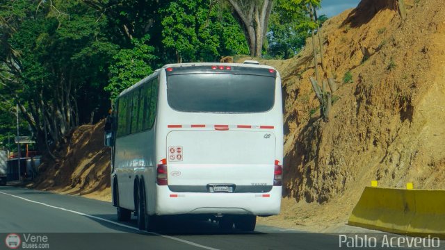 Los Reyes del Centro 02 por Pablo Acevedo