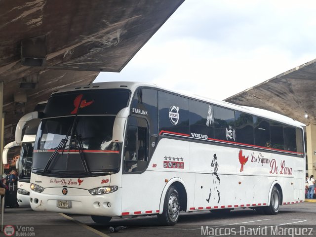 Los P�jaros de Lara 020 por Marcos David M�rquez