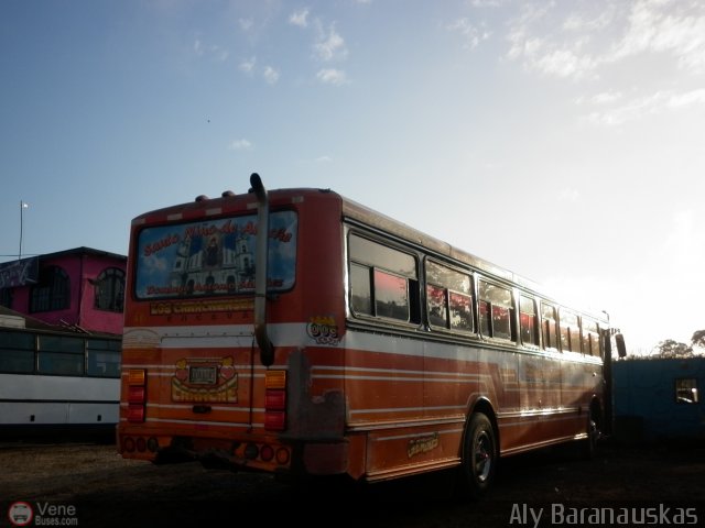 Particular o Desconocido 0364 por Aly Baranauskas