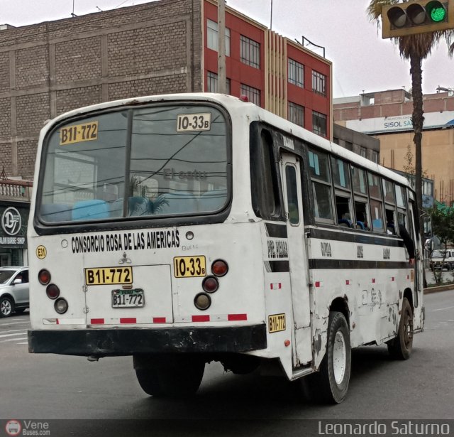 Consorcio Rosa de las Américas 031 por Leonardo Saturno