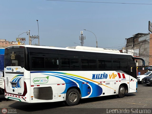 E.T. Male�o VIP 241 por Leonardo Saturno
