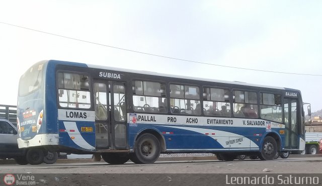 San Felipe Express S.A. 990 por Leonardo Saturno