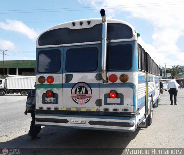 Expresos Nirgua 0060 por Eduard Delgado