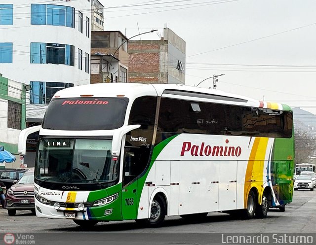 Expreso Internacional Palomino 7056 por Leonardo Saturno
