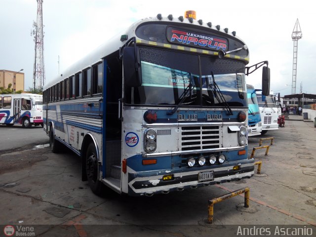 Expresos Nirgua 0060 por Andrs Ascanio