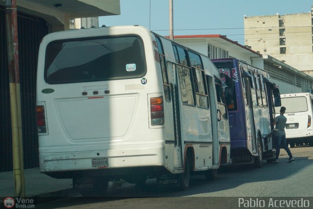 Particular o Desconocido 01 por Pablo Acevedo