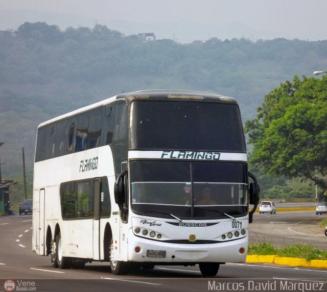 Expresos Flamingo 0071 por Marcos David M�rquez