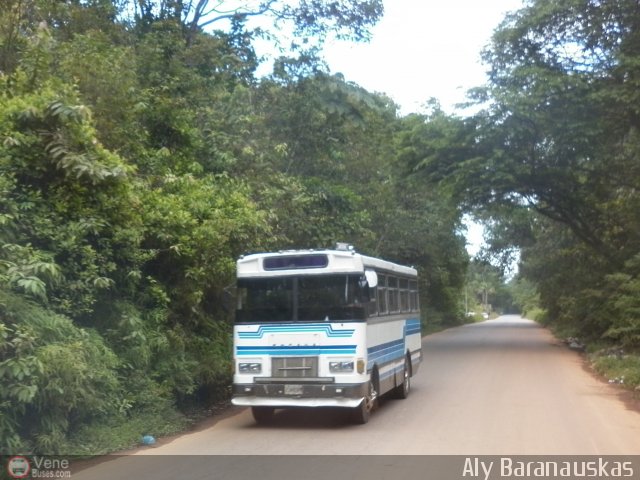 Particular o Desconocido 23 por Aly Baranauskas