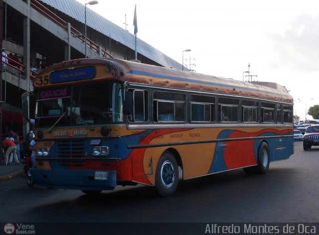 Transporte 1ero de Mayo 035 por Waldir Mata