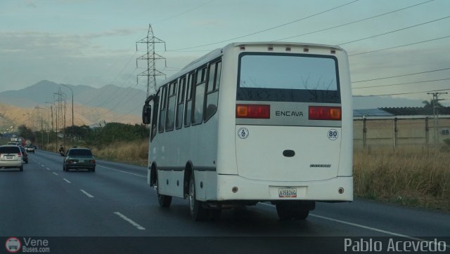 Particular o Desconocido A15 por Pablo Acevedo