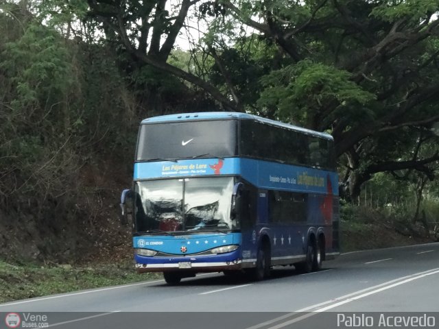 Los P�jaros de Lara 012 por Pablo Acevedo